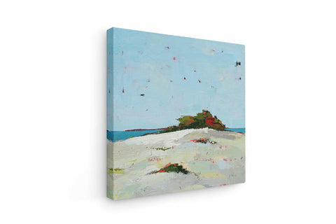 Fall Dune