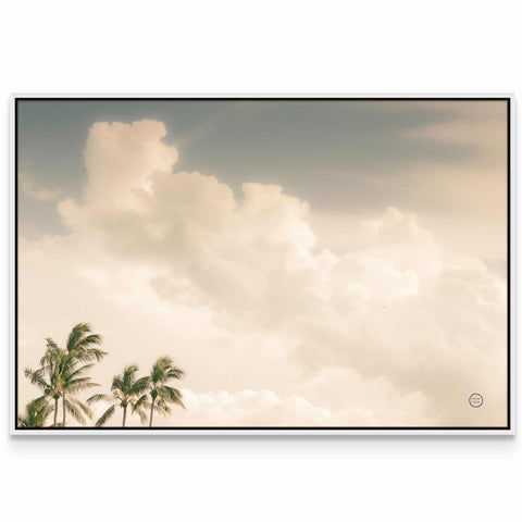 a picture of palm trees and a cloudy sky