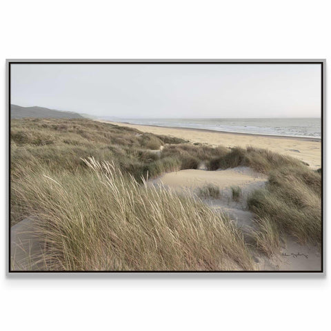 a picture of a sandy beach with tall grass