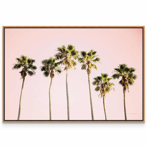 a group of palm trees against a pink sky