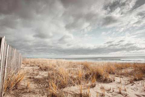 a beach with a wooden fence and grass