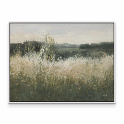 Field View