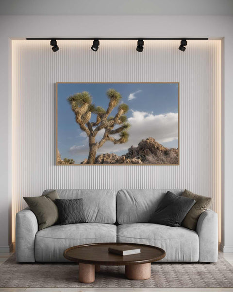 Joshua Tree National Park III