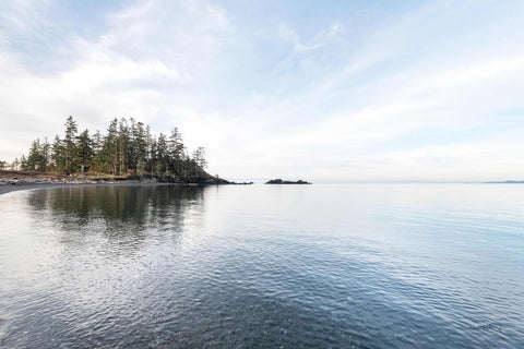 a large body of water with trees in the background