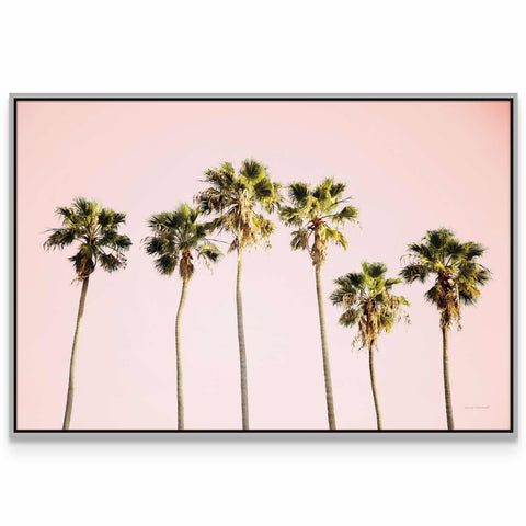 a group of palm trees against a pink sky