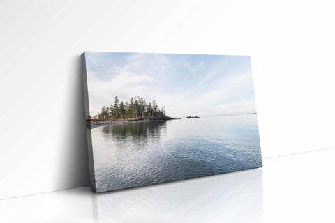 a picture of a large body of water with trees in the background