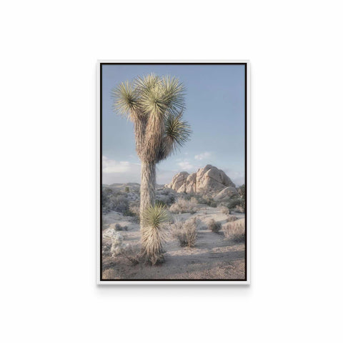 a picture of a joshua tree in the desert