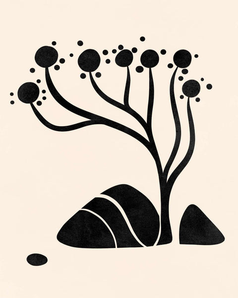 a black and white drawing of a plant and rocks