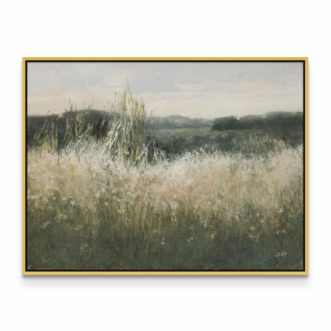 Field View