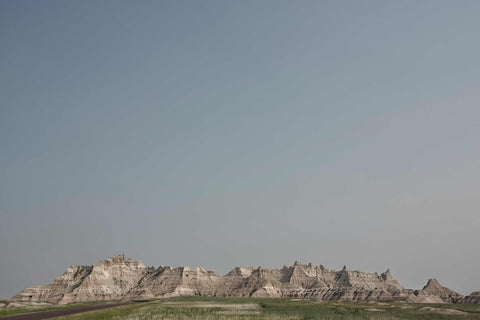 a herd of sheep standing on top of a lush green field