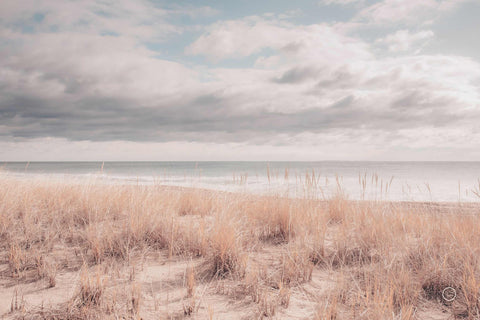 a sandy beach next to the ocean under a cloudy sky