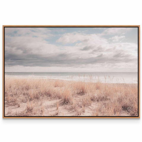 a picture of a beach with a cloudy sky